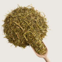 blubble navi derby raufutter